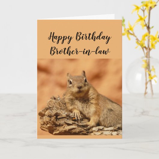 Happy Birthday Brother-in-law Funny Squirrel Relax Kaart (Gele Bloem)