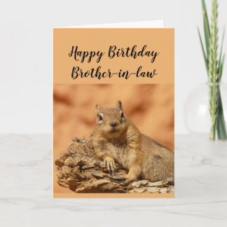 Happy Birthday Brother-in-law Funny Squirrel Relax Kaart