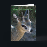 Happy Birthday Brother Kaart<br><div class="desc">Gelukkige verjaardag broer,  geliefde,  zorgzaam</div>