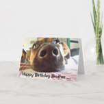 Happy Birthday Brother One I look up to! Cute Dog Kaart<br><div class="desc">Happy Birthday to the One I look up to! Cute Dog  Brother will appreciate this card</div>
