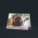 Happy Birthday Brother One I look up to! Cute Dog Kaart<br><div class="desc">Happy Birthday to the One I look up to! Cute Dog  Brother will appreciate this card</div>
