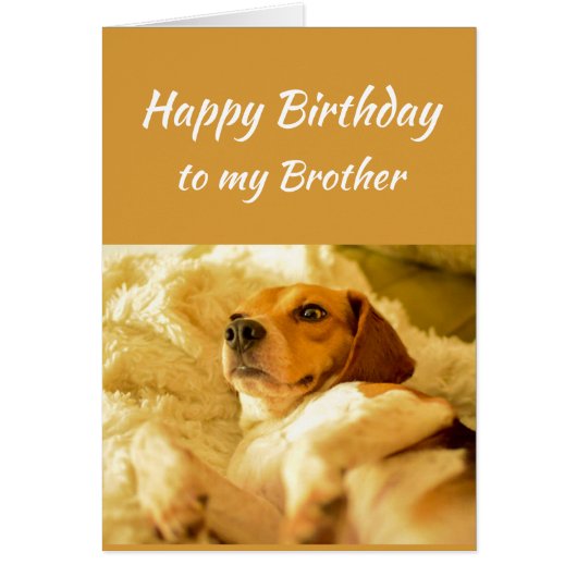 Happy Birthday Brother Real Age Humor Fun Dog (Voorkant)
