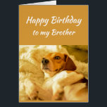 Happy Birthday Brother Real Age Humor Fun Dog<br><div class="desc">Fijne verjaardag Broeder Friend Funny Animals. Weet je nog dat ik je echte leeftijd ken met een schattige,  schokkende hond</div>