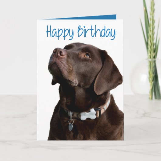 Happy Birthday Brown Labrador Retriever Puppy Card Kaart (Voorkant)