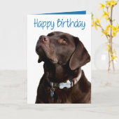 Happy Birthday Brown Labrador Retriever Puppy Card Kaart (Gele Bloem)