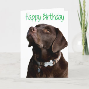 Happy Birthday Brown Labrador Retriever Puppy Card Kaart