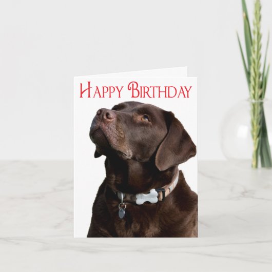 Happy Birthday Brown Labrador Retriever Puppy Card Kaart (Voorkant)