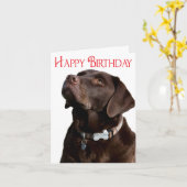 Happy Birthday Brown Labrador Retriever Puppy Card Kaart (Gele Bloem)