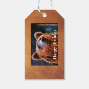 Happy Birthday Bruin Beer Portret Wildlife Foto Cadeaulabel