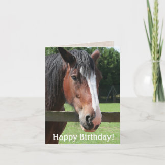 Happy Birthday Bruin Paard Paardrijden Kaart