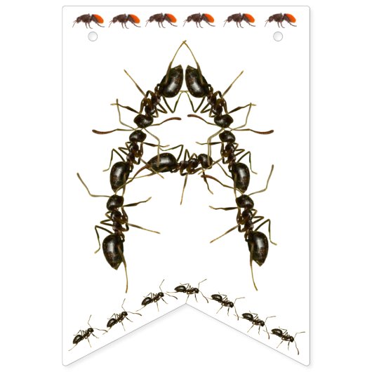 Happy Birthday Bug Thema Banner (Derde vlag)