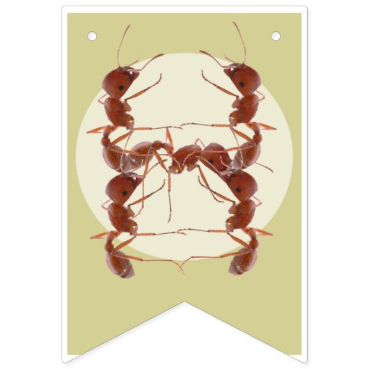 Happy Birthday Bug Threaded Banner | Insect Banner (Tweede vlag)