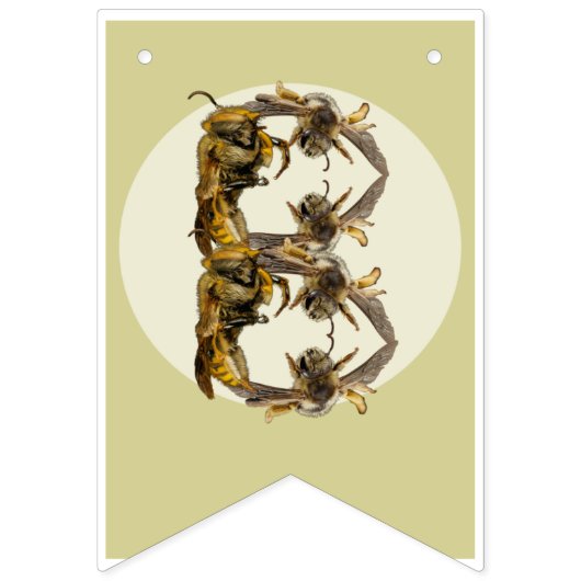 Happy Birthday Bug Threaded Banner | Insect Banner (Achtste vlag)