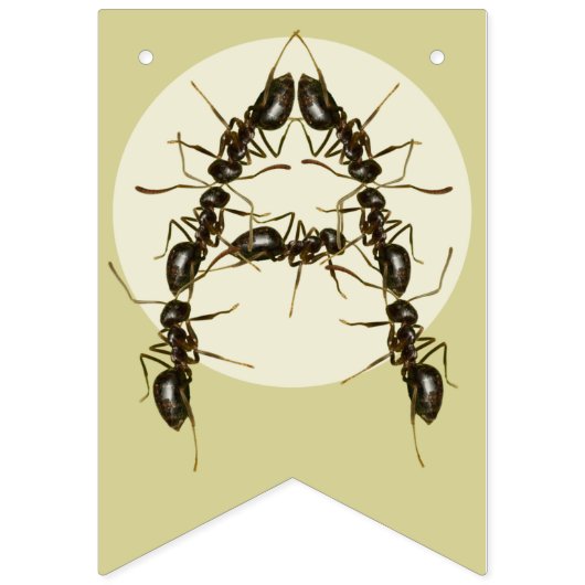 Happy Birthday Bug Threaded Banner | Insect Banner (Derde vlag)