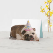 Happy Birthday Bull Dog Kaart (Gele Bloem)