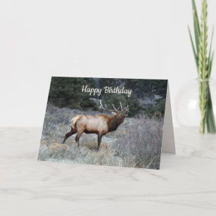 Happy Birthday, Bull Elk Bugling Kaart