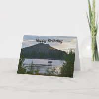 Happy Birthday, Bull Moose, Sprague Lake, Colorado