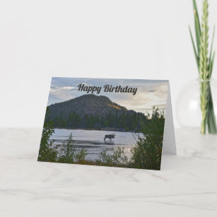 Happy Birthday, Bull Moose, Sprague Lake, Colorado Kaart