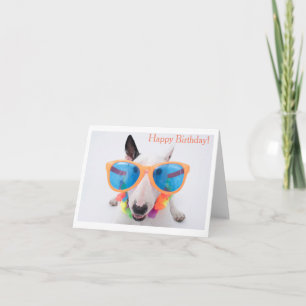 Happy Birthday Bull Terrier Card Kaart