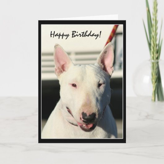 Happy Birthday Bull Terrier greeting card Kaart (Voorkant)