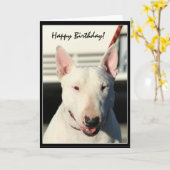 Happy Birthday Bull Terrier greeting card Kaart (Gele Bloem)