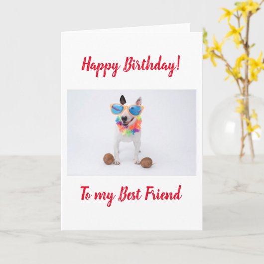 Happy Birthday Bull Terrier met Coconuts Kaart (Gele Bloem)