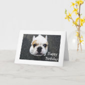 Happy Birthday Bulldog Wenskaart - Verse Kaart (Gele Bloem)