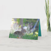 Happy Birthday Bunny Kaart (Voorkant)