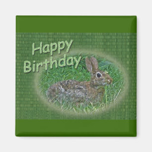 Happy Birthday Bunny Rabbit Cordining Items Magneet