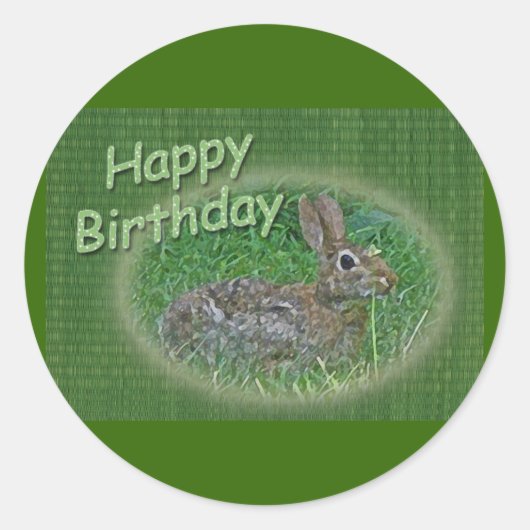 Happy Birthday Bunny Rabbit Cordining Items Ronde Sticker (Voorkant)