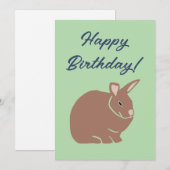 Happy Birthday Bunny Rabbit Feestdagenkaart (Voorkant / Achterkant)