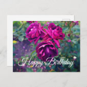 Happy Birthday Burgundy Iceberg Roos #3-2 Briefkaa Briefkaart (Voorkant / Achterkant)