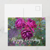 Happy Birthday Burgundy Iceberg Roos #3 Briefkaart (Voorkant / Achterkant)