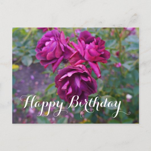 Happy Birthday Burgundy Iceberg Roos #3 Briefkaart (Voorkant)