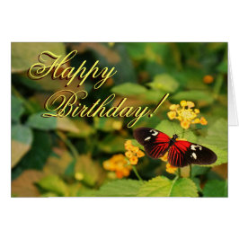 Happy Birthday Butterfly Kaart