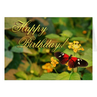 Happy Birthday Butterfly Kaart