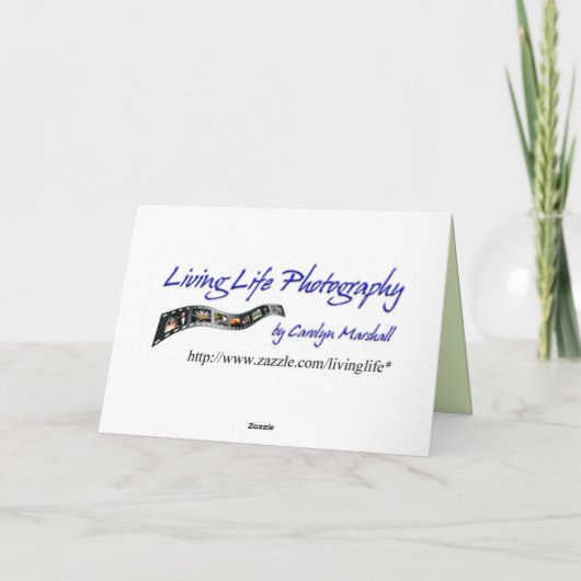 Happy Birthday Butterfly Kaart (Achterkant)