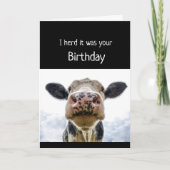 Happy Birthday Cake Sniffing Koe Fun Humor Kaart (Voorkant)