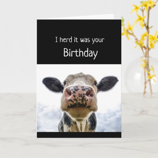 Happy Birthday Cake Sniffing Koe Fun Humor Kaart (Gele Bloem)