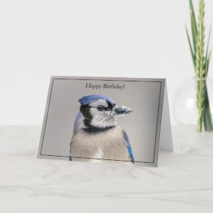 Happy Birthday Card Blue Jay Kaart