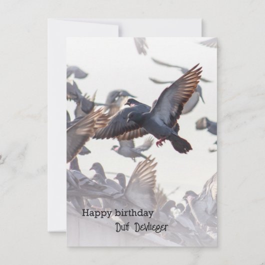 Happy Birthday Card for Pigeons (Achterkant)