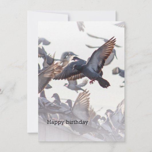 Happy Birthday Card for Pigeons (Achterkant)