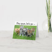 Happy Birthday Card met Kittens:Laten we beginnen Kaart (Voorkant)