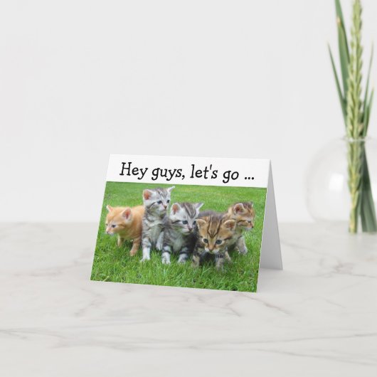 Happy Birthday Card met Kittens:Laten we beginnen Kaart (Voorkant)