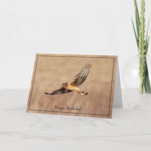 Happy Birthday Card Northern Harrier Hawk Kaart (Voorkant)
