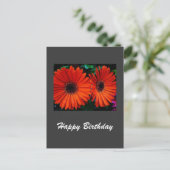 Happy Birthday Card oranje kleur Daisy Flowers Briefkaart (Staand voorkant)