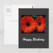 Happy Birthday Card oranje kleur Daisy Flowers Briefkaart (Voorkant / Achterkant)