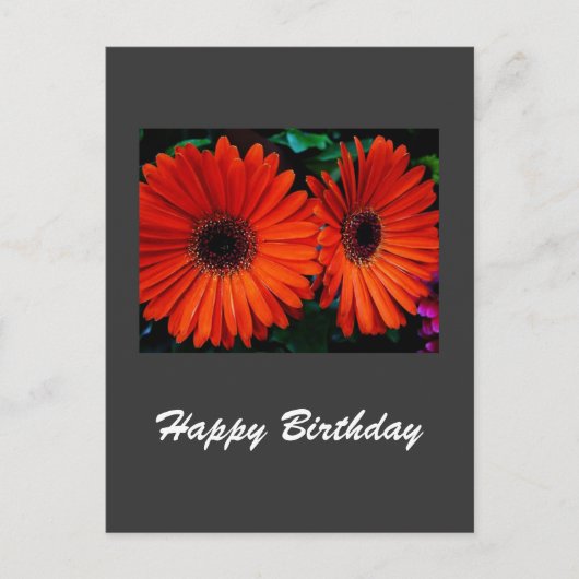 Happy Birthday Card oranje kleur Daisy Flowers Briefkaart (Voorkant)