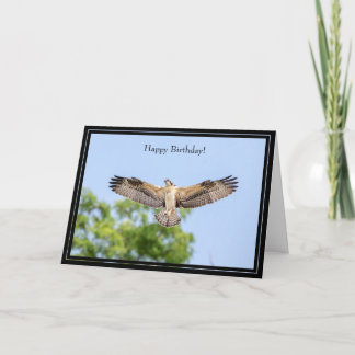 Happy Birthday Card Osprey Kaart