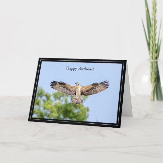 Happy Birthday Card Osprey Kaart (Voorkant)